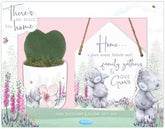 Faux Succulent And Plaque Gift Set