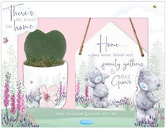 Faux Succulent And Plaque Gift Set