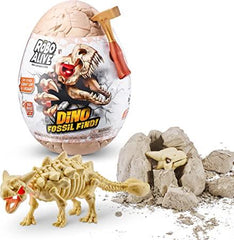 DINO FOSSIL FIND