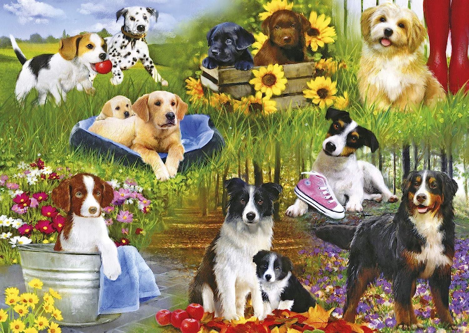 PLAYFUL PUPS