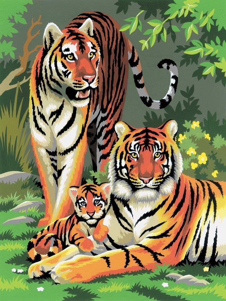 PBN JR SM TIGERS