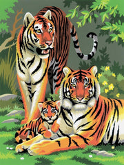 PBN JR SM TIGERS