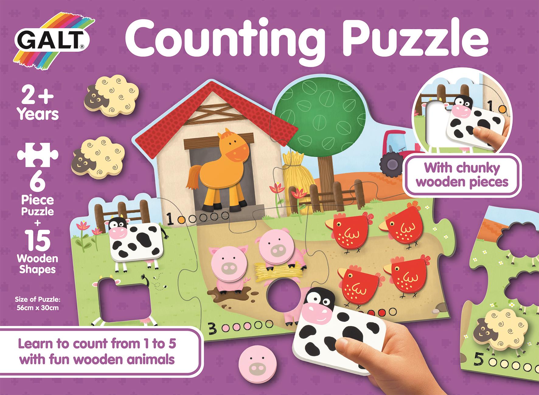COUNTING PUZZLE