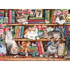 PUSS BACK IN BOOKS (500XL)