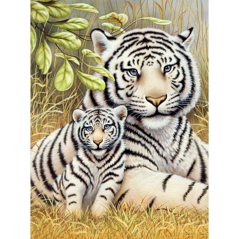PBN JR SM WHITE TIGER PAIR