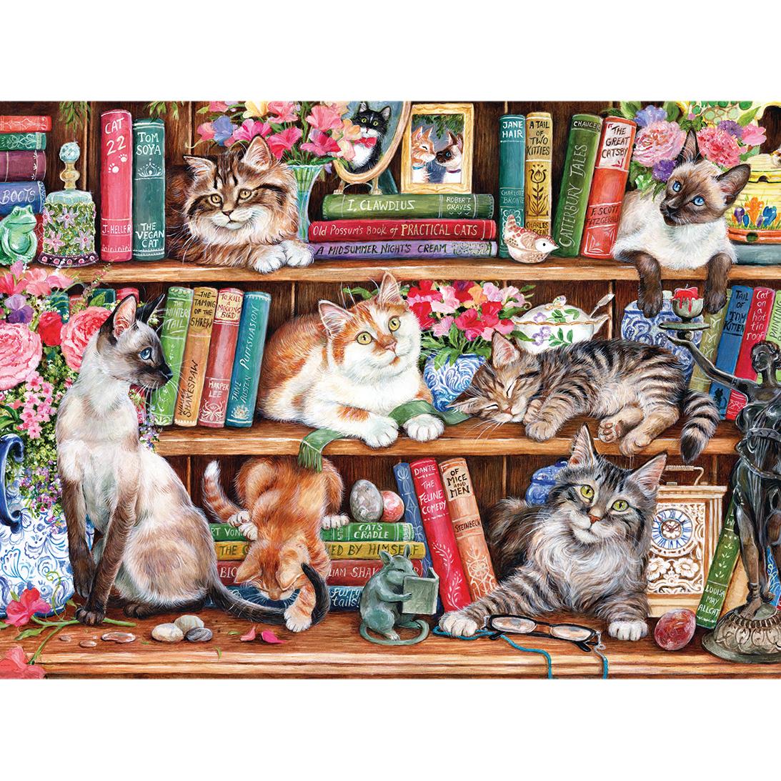 PUSS BACK IN BOOKS (500XL)