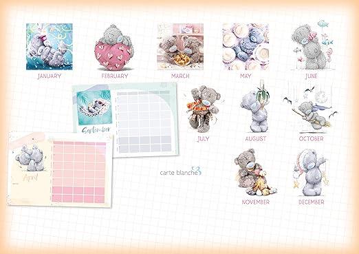 MTYBMULTI BRAND A4 ORGANISER 2024