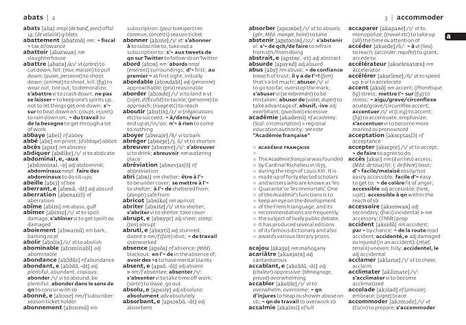FRENCH POCKET DICT_POCKET FX