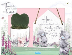 Faux Succulent And Plaque Gift Set